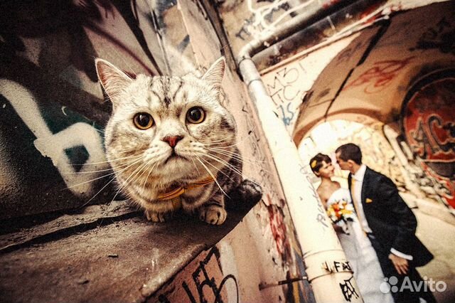 Фотограф Фотограф
