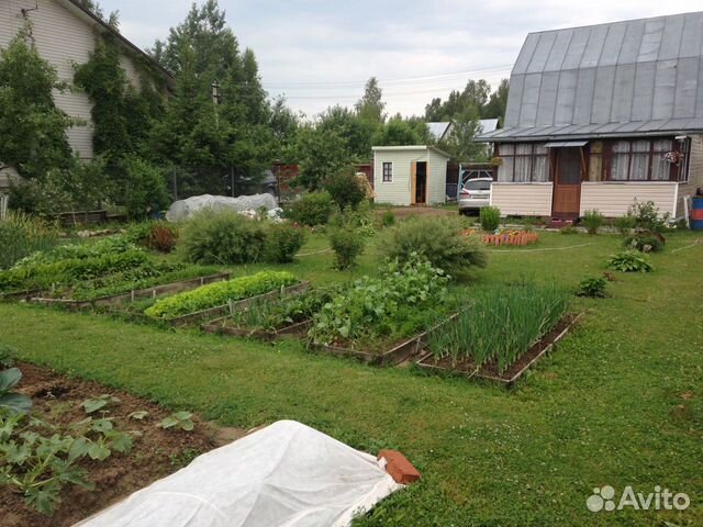 Дом 50 м² на участке 7 сот. Дом 50 м² на участке 7 сот.