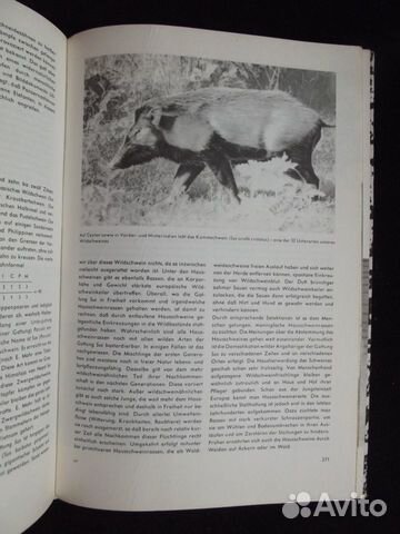 Книга про животных на немецком