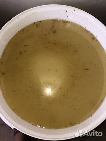 Живица кедровая