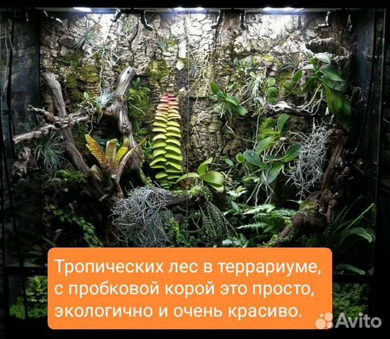 Фон в террариум из пробковой коры