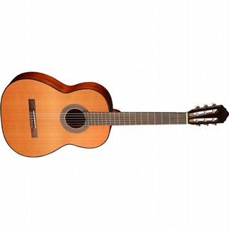 Гитара Cort AC100 W BAG SG