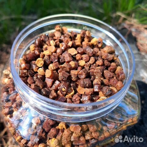 Перга пчелиная (сбор 2023)