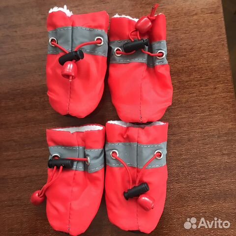 Обувь доя мелких пород собак