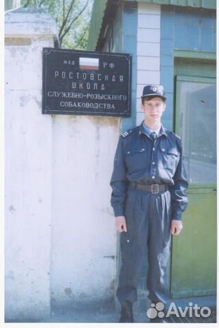 Дрессировка собак (кинолог )