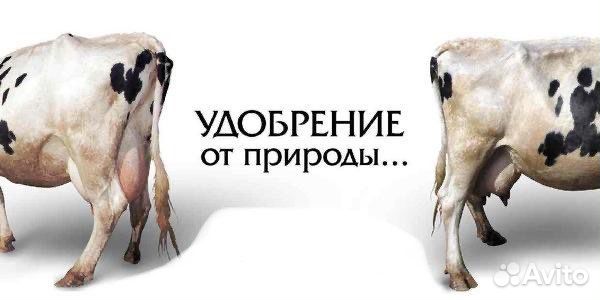 Объявление о продаже навоза образец