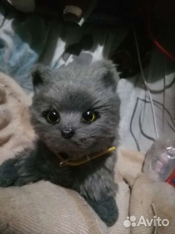 Игрушка котенок мяукает