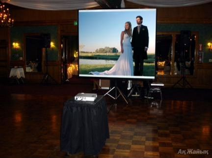 Аренда проектора. Экрана