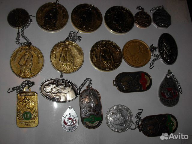 Собачьи медали для собак и не только