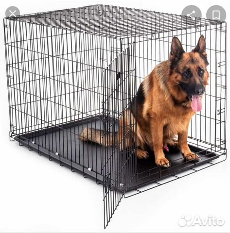 Вольер клетка большая в прокат
