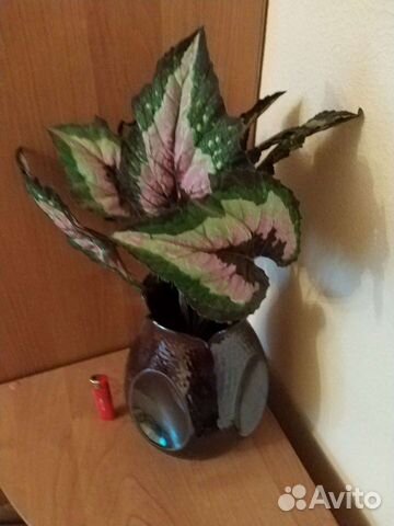 Ваза для цветов