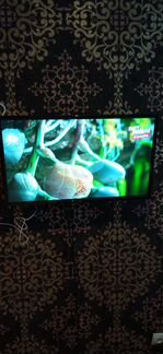 Телевизор smart tv 32 дюйма dexp