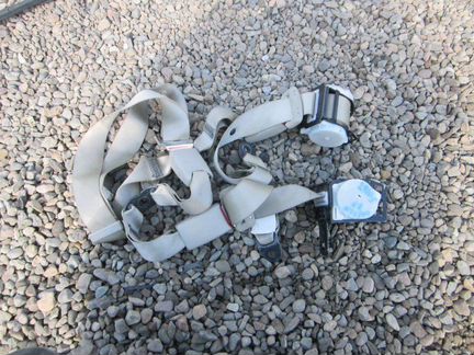 Ремень безопасности задний Toyota Corolla Fielder