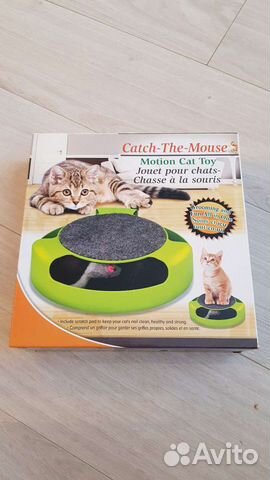 Принадлежности для котят