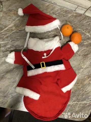 Костюм на собаку
