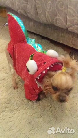 Комбинезон для собачки