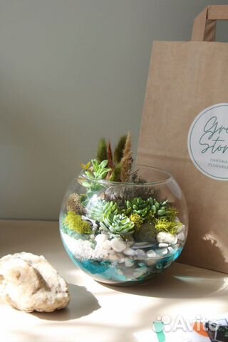 Флорариум Шар с озером