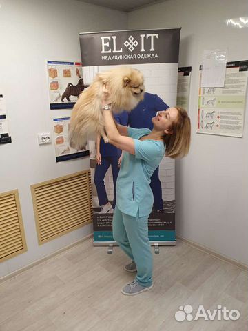 Ветеринарные услуги