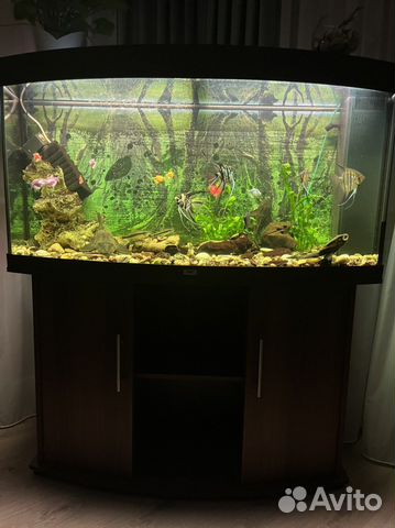 Аквариум с тумбой Juwel