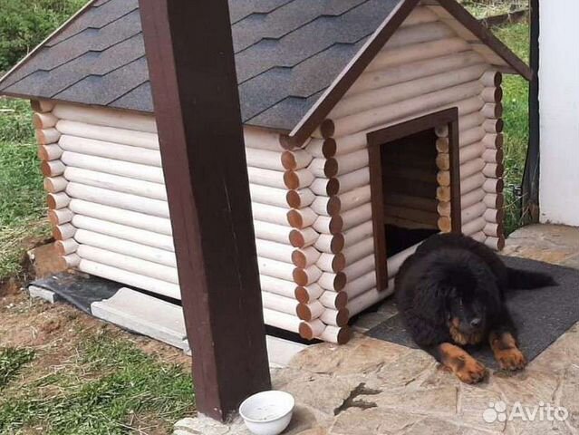 Будка, конура, домик для собаки