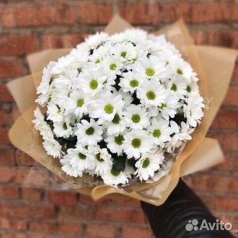 Ромашки, розы, 25 шт, 51 шт, 101 шт