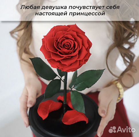 Роза в колбе