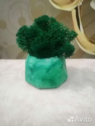 Гипсовое кашпо с натуральным мхом