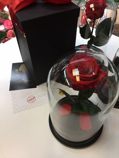 Роза в колбе