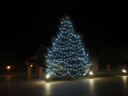 Праздничное украшение деревьев