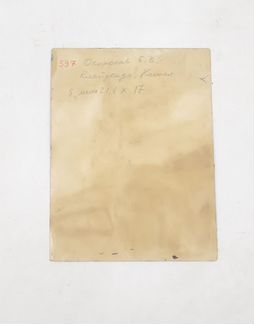 Картина Окороков Б.В. 