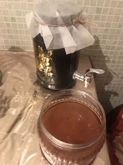 Чайный гриб