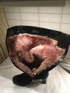 Сапоги женские Carnaby (нат. замша / нат. мех)