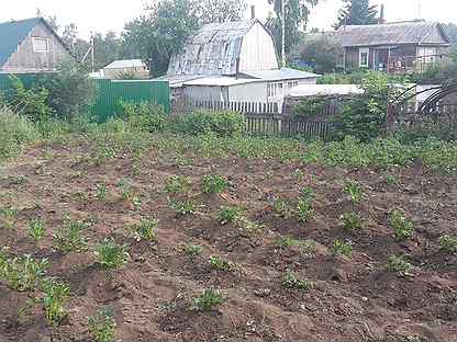 степной усольский район. пожарского 38 фото с спутника. боханский район, д. земельный участок усолье сибирское. земельный участок усолье сибирское.