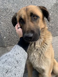 Джек ищет дом