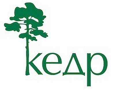 Кедра групп. Кедранас. Кедра групп. Охранное предприятие кедр. Кедр семилуки мебельная фабрика.