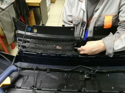 Защитная сетка радиатора автомобиля