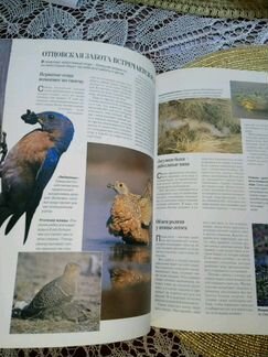 Книга альбом Секреты природы
