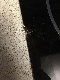 Независимая варочная панель electrolux c трещиной