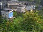 Ульи с пчелами, медогонка, рамки