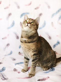 Флора в самые добрые ручки