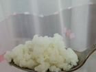 Тибетский молочный гриб