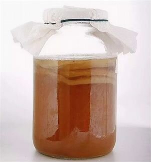 Гриб чайный. Гриб кефирный. Индийский рис