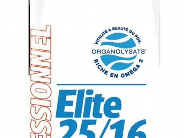 сетевой фильтр furman ac-210e. волейбол 1 класс. сетевой фильтр furman elite-16 pfe i. корм для собак flatazor elite 25/16. Furman elite-16 pfe.